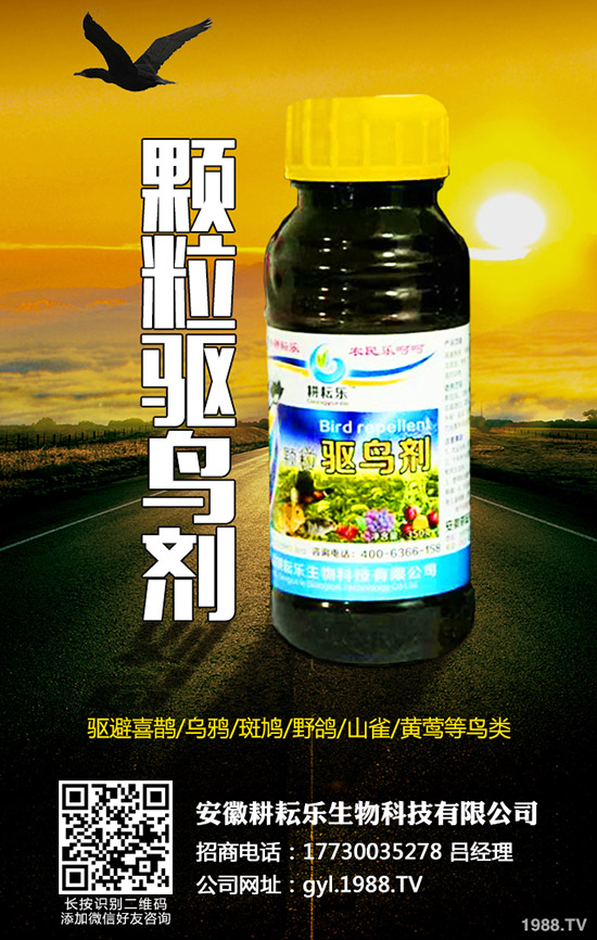 氯氟吡氧乙酸異辛酯適用范圍有哪些?作用特點及使用注意事項知道么?
