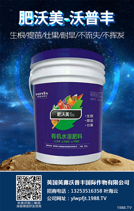 說(shuō)起油麥菜,相信很多朋友都喜歡吃,不論是炒著吃,還是燙著吃油麥菜都有不一樣的風(fēng)味,油麥菜是我們常見(jiàn)的的蔬菜之一,油麥菜的營(yíng)養(yǎng)價(jià)值略高于生菜,而遠(yuǎn)遠(yuǎn)優(yōu)于萵筍。那么,油麥菜的營(yíng)養(yǎng)價(jià)值有哪些?吃油麥菜有哪些好處呢?