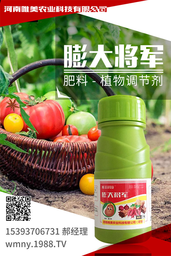 紫薯怎么種植?紫薯高產(chǎn)種植方法