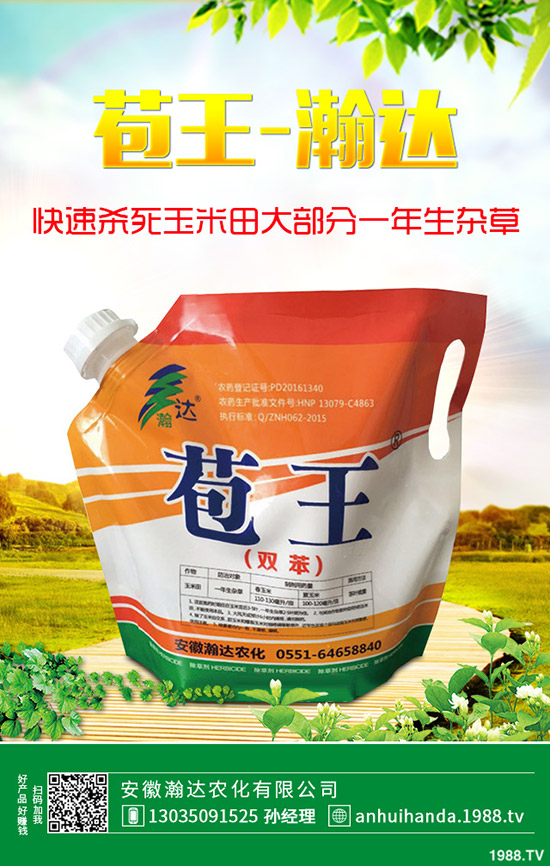 石楠花怎么種植?石楠花的養(yǎng)殖方法!