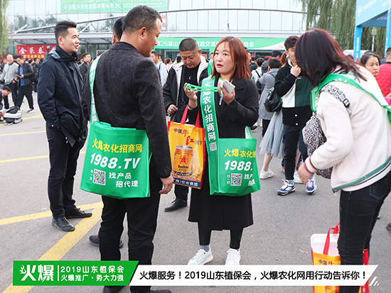 F(xin)(chng)ֱ2019ɽ|ֲ(hu)ʢ_(ki)Ļǧ̅Rȼȫ(chng)!-5