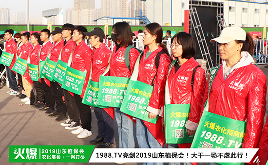 F(xin)(chng)ֱ2019ɽ|ֲ(hu)ʢ_(ki)Ļǧ̅Rȼȫ(chng)!