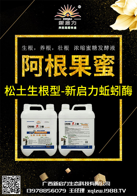 {(ln)ÄЩΣ{(ln)İl(f)cμ