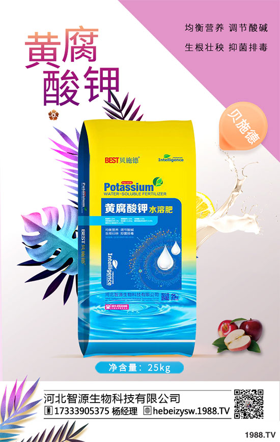 ըӷNֲ¹༼g(sh)