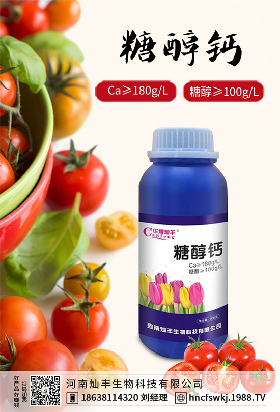 甘藍(lán)立枯病來襲,到底該如何防治?甘藍(lán)立枯病防治措施