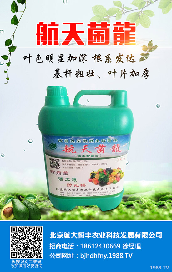 ֹϵķNֲЩֹηNֲ׸߮a(chn)