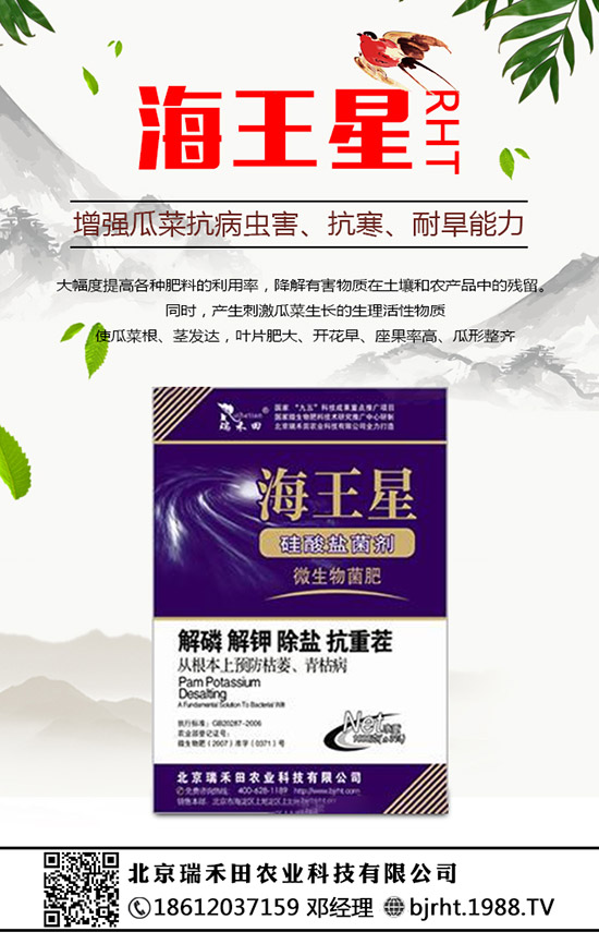 2020NֲٍXķNֲǰӣ