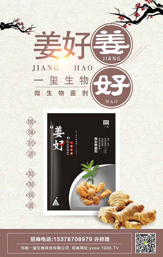 豆角的四個生育期有哪些特點?如何長期保存豆角?