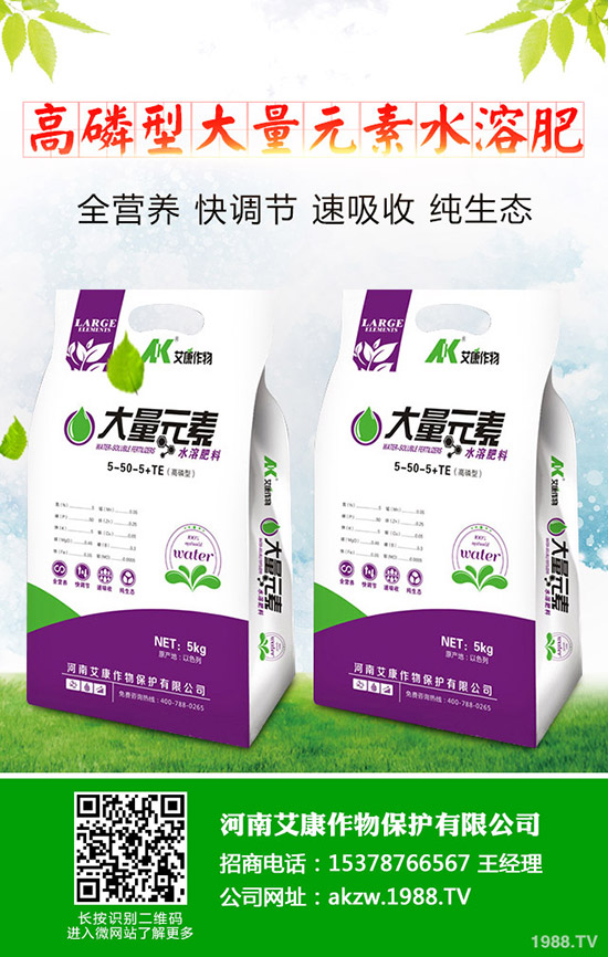 尿素價(jià)格何時(shí)上調(diào)?今日最新尿素行情走勢(shì)分析2019-11-13