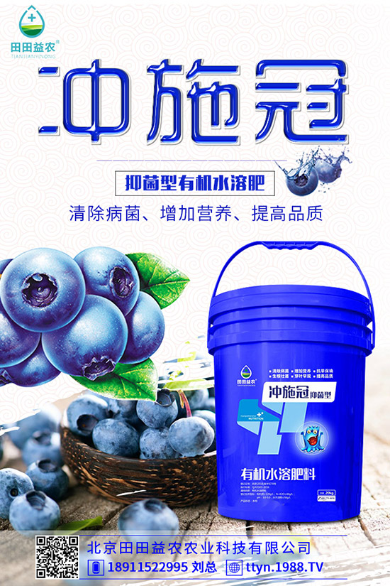 南瓜什么時(shí)候種植,南瓜的種植要點(diǎn)有哪些?