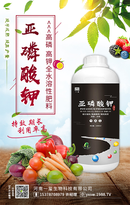 SϻĎ׷NSϼϰl(f)ԭA(y)ʩ