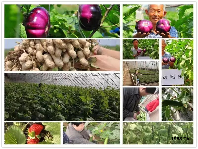 VԴS⛡Ʒ1=8ЙC(j)½Դ^ֱl(f)