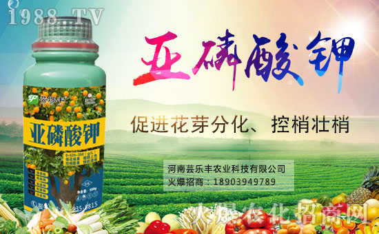 河南蕓樂豐成功入駐1988.TV,開拓農(nóng)資銷售新渠道!