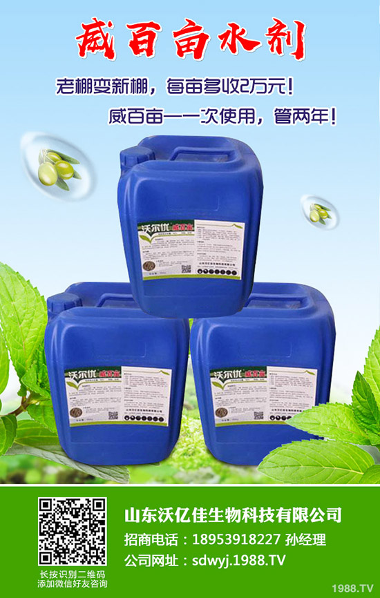 甜瓜什么時(shí)候種植?甜瓜怎么種植能高產(chǎn)?