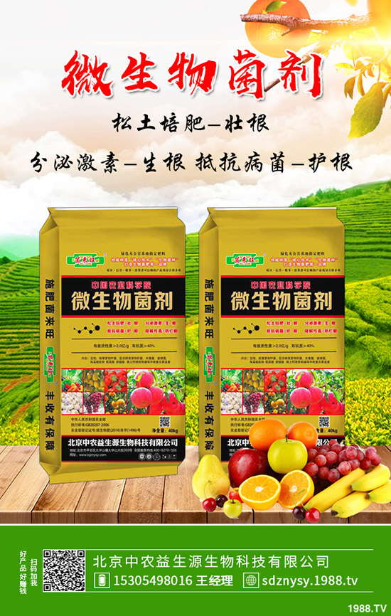 鉀肥價格將維持弱穩(wěn)!2019年11月2日最新行情走勢分析!