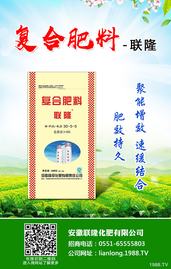 𻨞ʲô_(ki)𻨲_(ki)ԭ򼰽Q