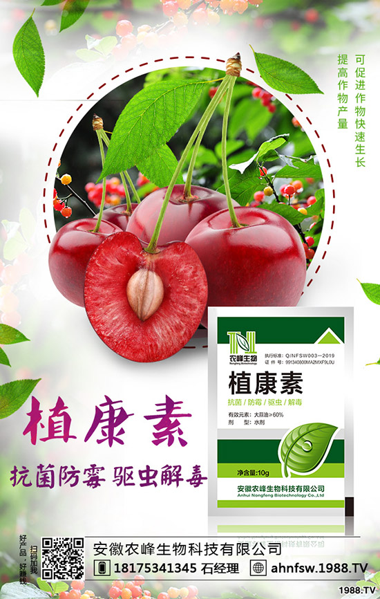 wôNֲwNֲЧ漰༼g