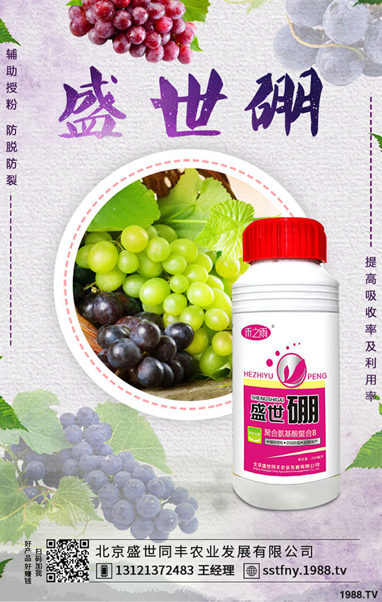 西葫蘆早疫病的發(fā)病原因是什么?如何防治西葫蘆早疫。