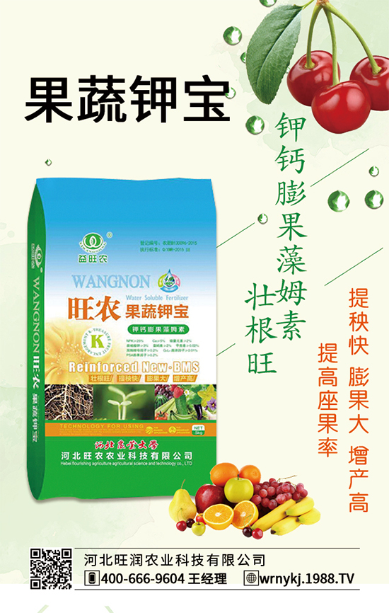 P(gun)ϵAӱr(nng)c1988.TV_ƪ