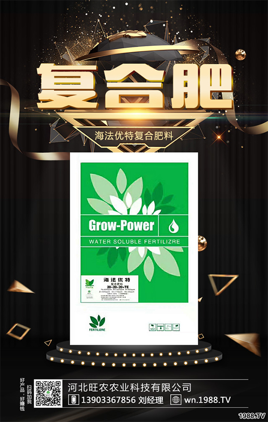 P(gun)ϵAӱr(nng)c1988.TV_ƪ