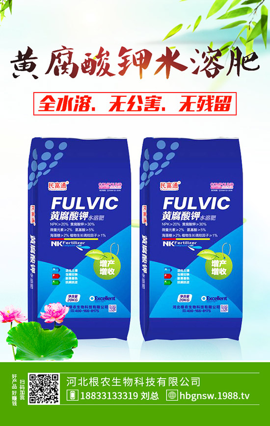 ɽmʲôrgNֲɽ髵ķNֲ