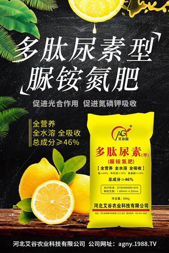 ɽˎNֲrgɽˎNֲgc