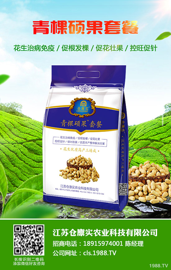 冬季大棚種植如何放風?怎么確定風口大。糠棚L技巧及注意事項!