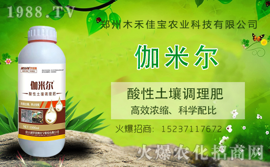 鄭州木禾佳寶首簽1988.TV,開啟網(wǎng)絡(luò)招商新模式!