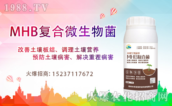 鄭州木禾佳寶首簽1988.TV,開啟網(wǎng)絡(luò)招商新模式!