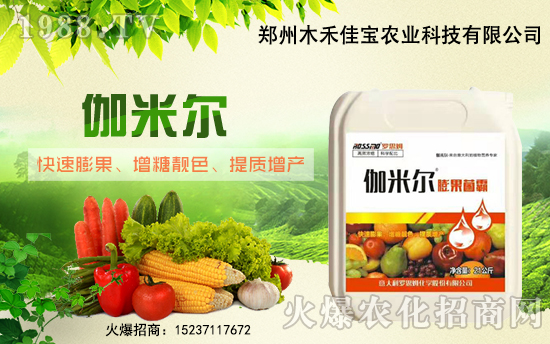 鄭州木禾佳寶首簽1988.TV,開啟網(wǎng)絡(luò)招商新模式!