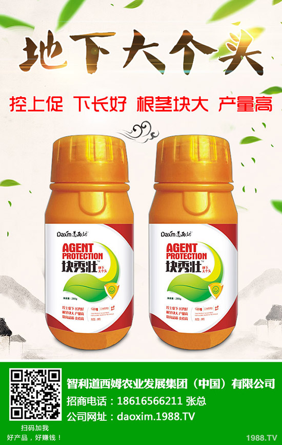 }̿Ҳôk}̿ҲYͷη