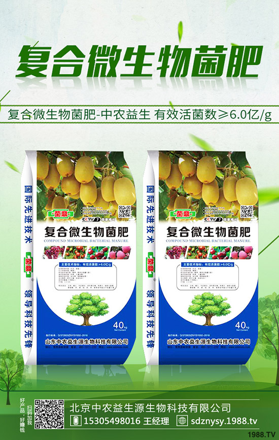 2019-11-26今日最新二銨價格日報,磷酸二銨企業(yè)出廠參考價一覽