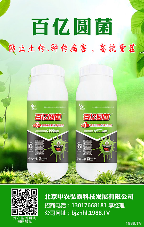 ʲô(hu)a(chn)ʺαʺİl(f)