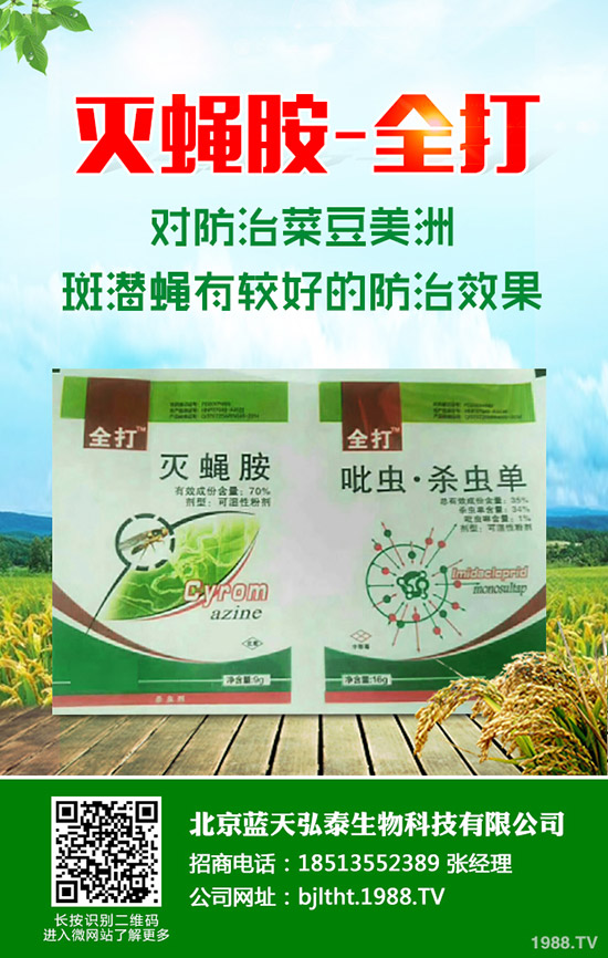 (ji)Ƕφ᣿(ji)ηNֲ@Щ(hu)æ