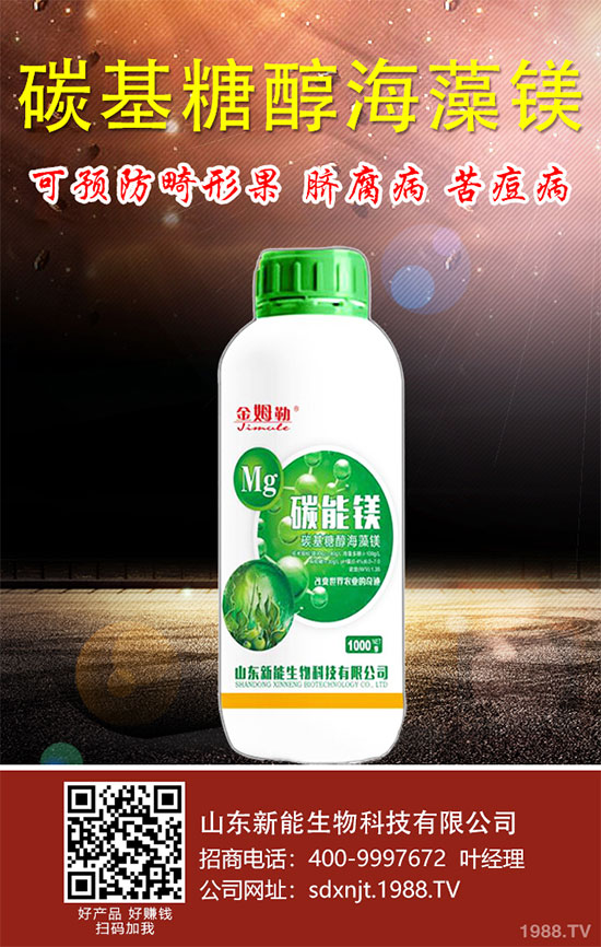 Ͳ˸[l(f)YͲ˸[ķδʩ