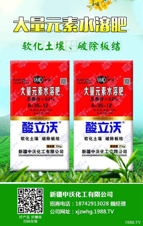 Ƥɽ(jng)(j)Ч2020ƤɵķNֲǰ