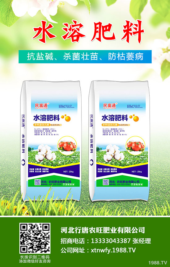 2019.11.29復(fù)合肥行情不溫不火!近期復(fù)合肥價(jià)格走勢分析!