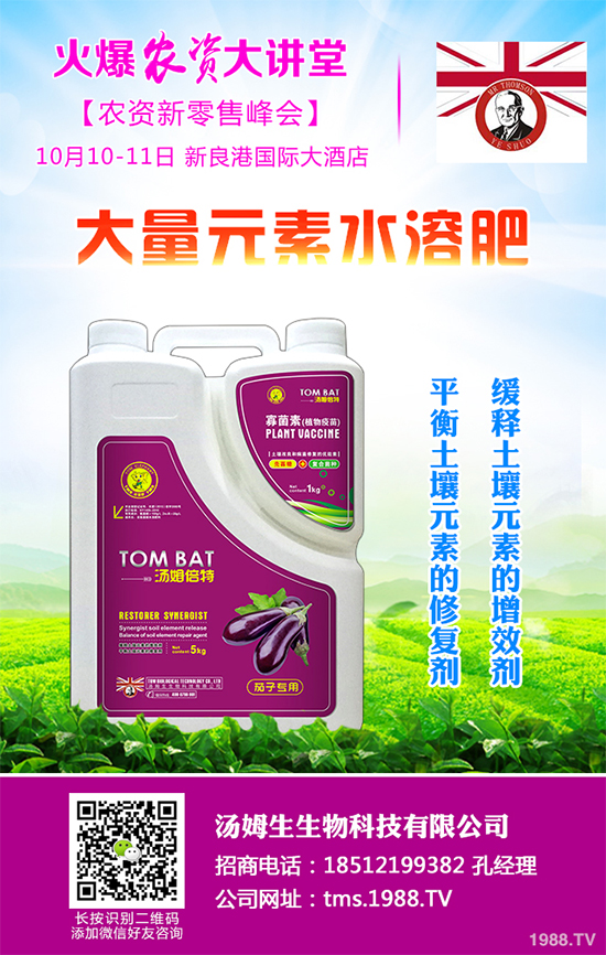 白皮松多少錢一棵呢?有哪些價值?