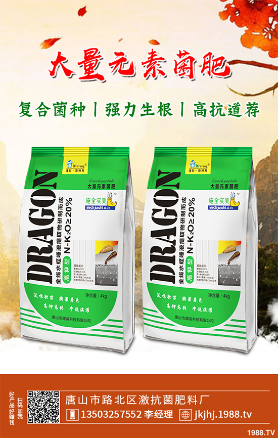 白皮松移栽后枯黃是咋回事?該怎么解決?快來看看吧