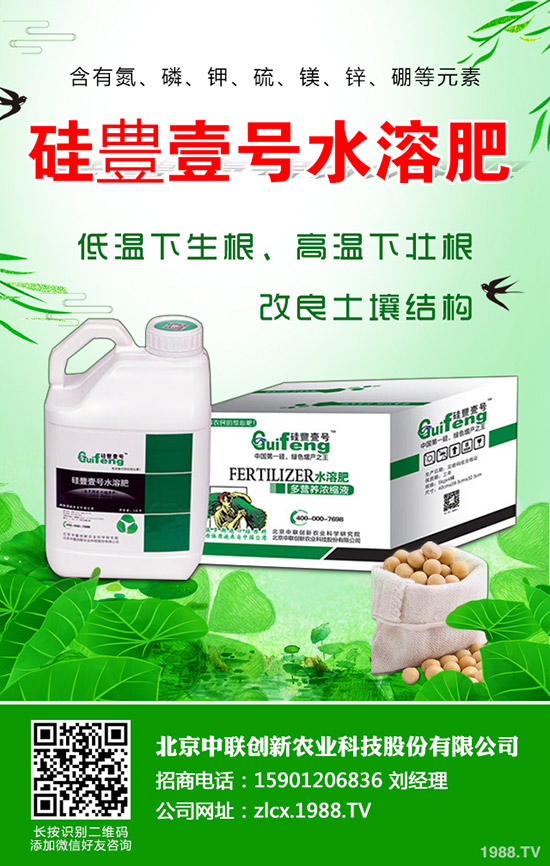 復(fù)合肥跌出今年價!近期最新復(fù)合肥行情綜合分析2019-11-30