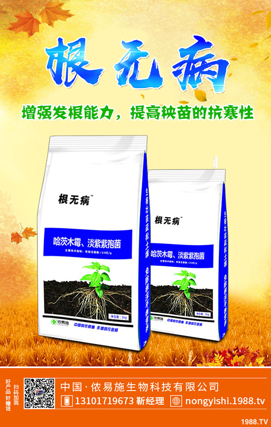 二銨冬儲市場緩慢!今日磷酸二銨主流出廠報價一覽2019-11-4