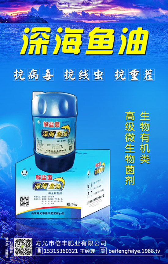 轵ķNֲ轵ķNֲǰ