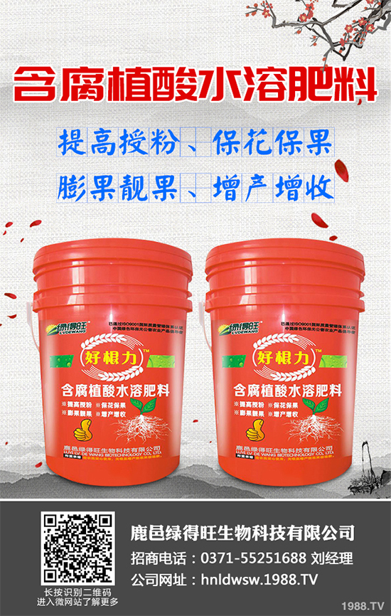 ߲˛_ʩҪעʲô߲ʩʼg