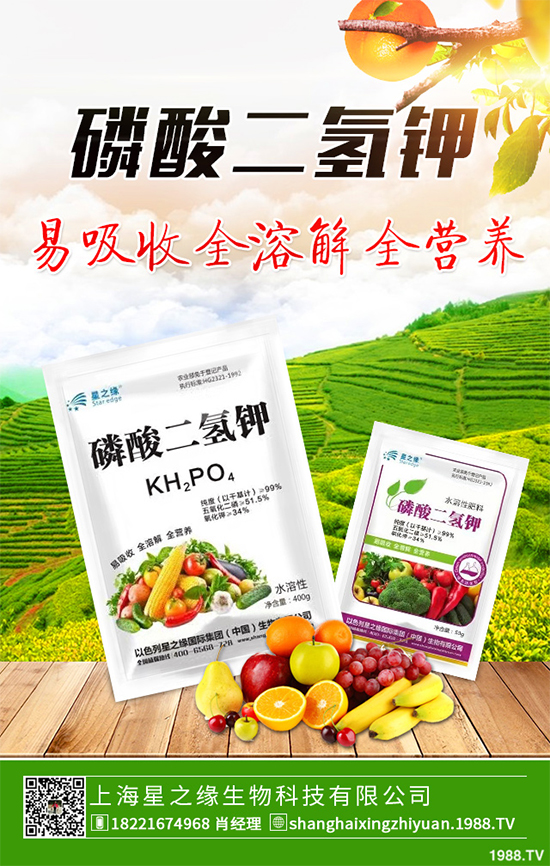 花椰菜花球出現(xiàn)異常是什么原因?該如何解決?快來看看吧!