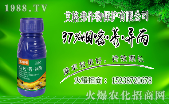 1988.TVϲӭѣﱣo(h)_W(wng)j(lu)