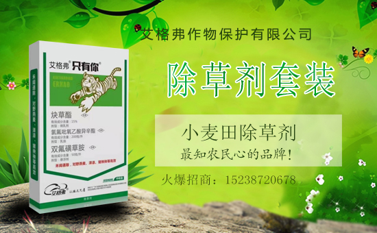 1988.TVϲӭﱣo(h)_W(wng)j(lu)̣