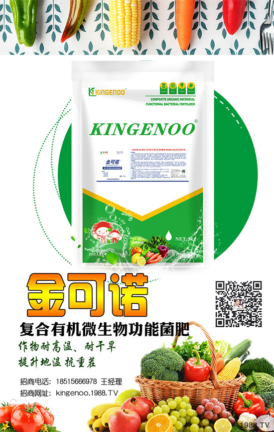 戰(zhàn)略合作再升級(jí),金可諾國(guó)際集團(tuán)再簽1988.TV,攜手共創(chuàng)新戰(zhàn)績(jī)!