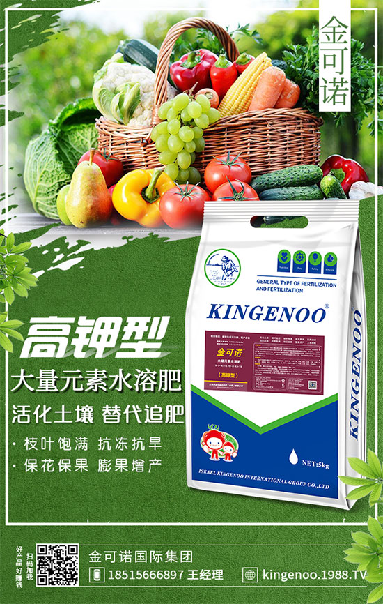 戰(zhàn)略合作再升級(jí),金可諾國(guó)際集團(tuán)再簽1988.TV,攜手共創(chuàng)新戰(zhàn)績(jī)!