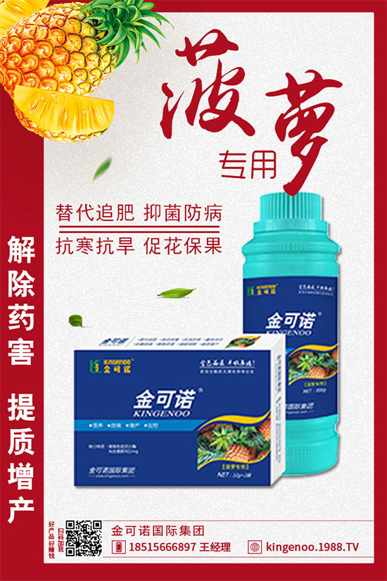 戰(zhàn)略合作再升級(jí),金可諾國(guó)際集團(tuán)再簽1988.TV,攜手共創(chuàng)新戰(zhàn)績(jī)!