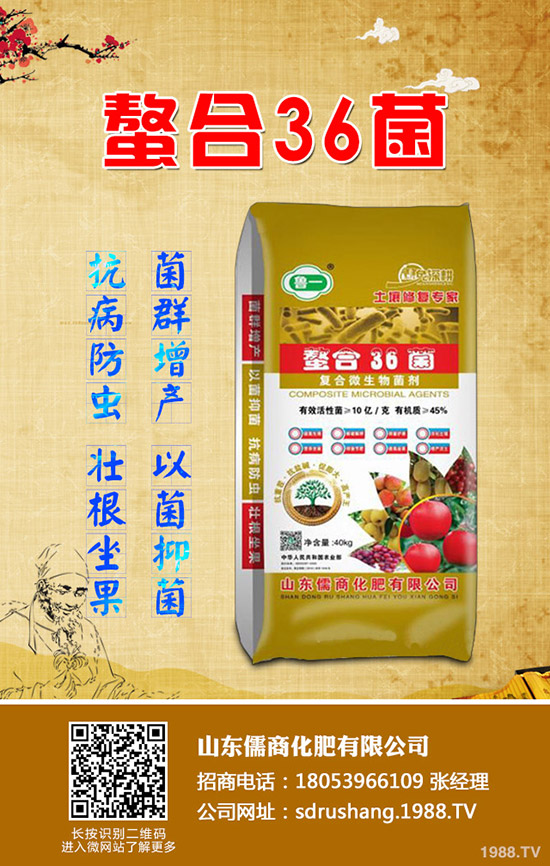 二銨市場(chǎng)行情低迷!2019年11月7日今日磷酸二銨價(jià)格早報(bào)